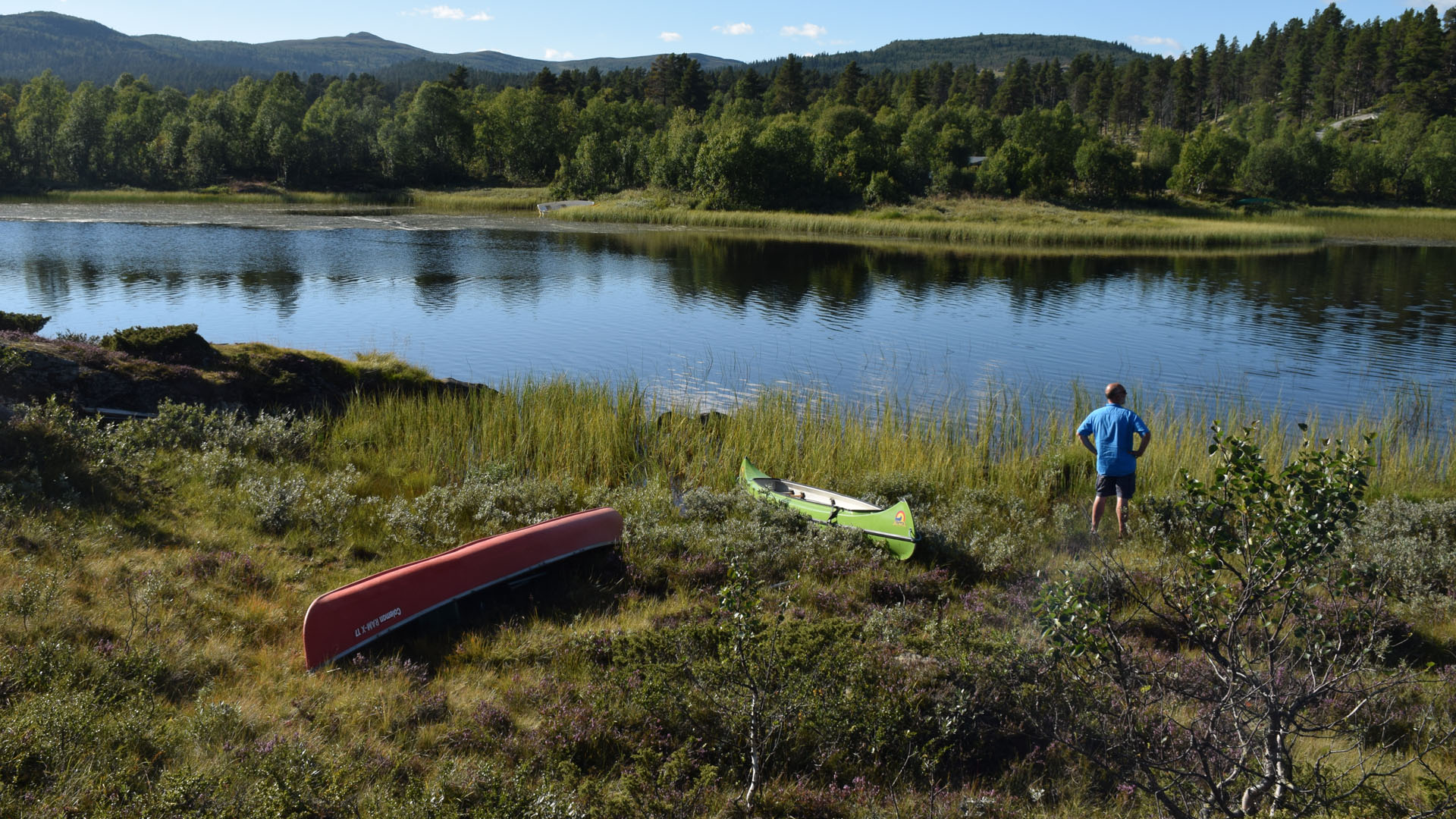 En person ved siden av to kanoer som står og ser utover et vann i Langsua nasjonalpark