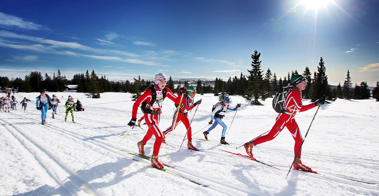 Birkebeinerrennet