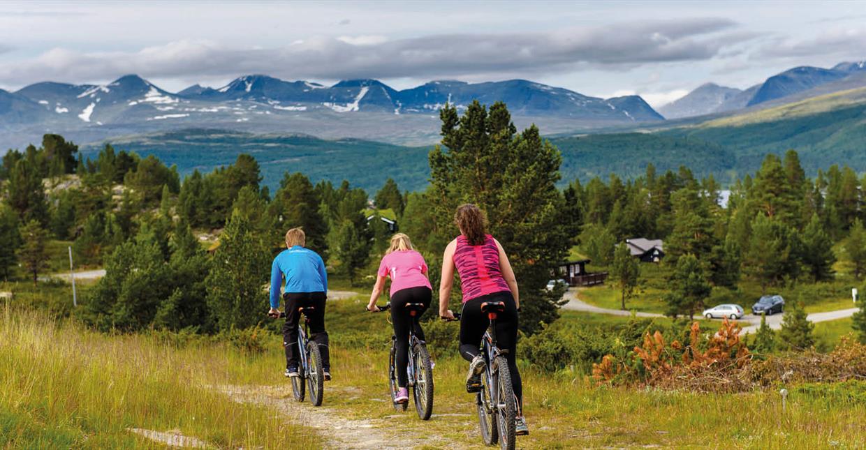 Ting å Gjøre I Lillehammer
